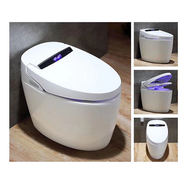 dual flush toilet dual flush toilet