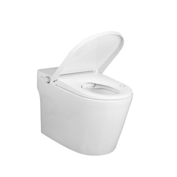 One Piece Intelligent Toilet