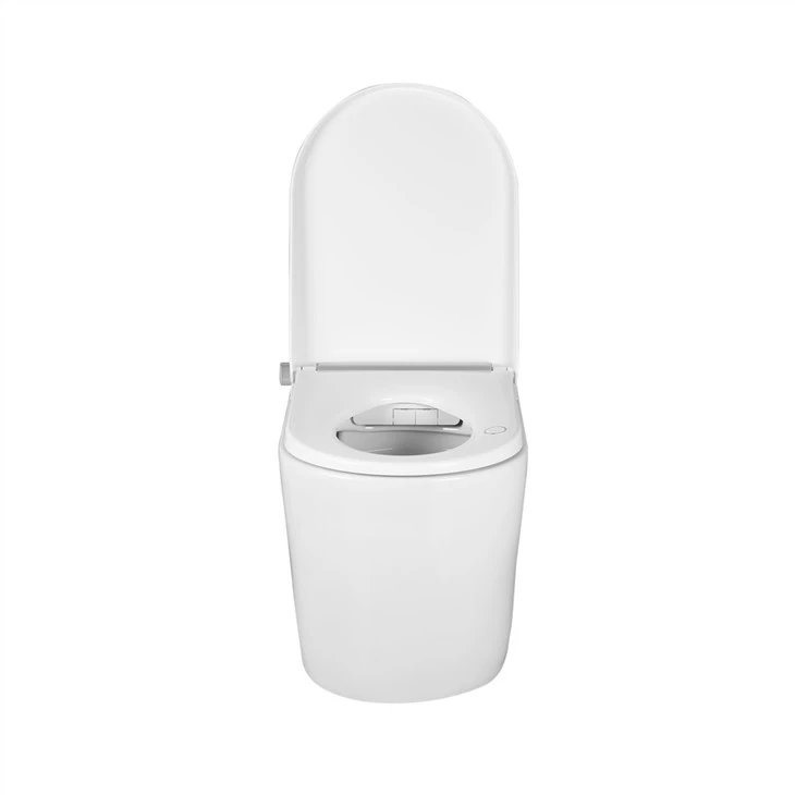 One Piece Intelligent Toilet